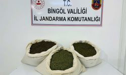 Bingöl'de 34 kilo 700 gram esrar ele geçirildi