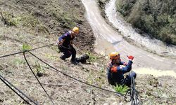 Giresun'da uçurumdan düşerek mahsur kalan köpek kurtarıldı