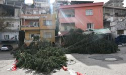 Hatay'da şiddetli rüzgar ve yağış etkili oldu