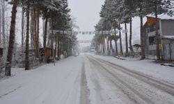 Tokat'ta kar yağışı etkisini sürdürdü