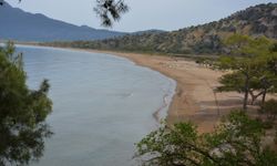 Muğla'daki İztuzu sahiline caretta carettalar yumurta bırakmaya başladı