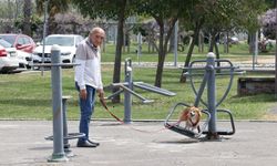 Samsun'da vatandaşlar hafta sonunda güneşli havanın tadını çıkardı