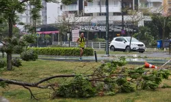 Fırtına ve sağanak yağış, bazı illerde yaşamı olumsuz yönde etkiledi