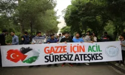 Dicle Üniversitesi öğrencileri ABD'deki Filistin eylemlerine oturma eylemi ile destek verdi