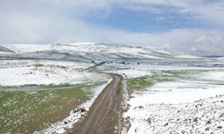 Ağrı, Kars ve Erzincan'ın yüksek kesimleri yeniden karla kaplandı