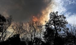 New Mexico eyaletinde dün başlayan orman yangınları sebebiyle olağanüstü hal ilan edildi