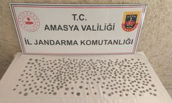 Amasya'da Pontus Krallığı dönemine ait 582 sikke ele geçirildi