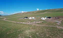 Erzurum'un karlı yaylaları göçer aileleri ağırlıyor