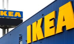 IKEA mercek altında: Romanya ormanlarının tahribatıyla suçlanıyor