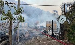 Antalya'da Kadir'in ağaç evleri yangında kül oldu