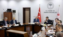 Ticaret ile Tarım ve Orman bakanlıklarının aylık koordinasyon toplantısı gerçekleştirildi