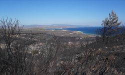 İzmir'in Çeşme ilçesinde ormanlık alanda çıkan yangında 3 kişi hayatını kaybetti