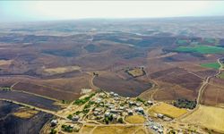 Diyarbakır ve Mardin'deki yangınlardan etkilenen mahalleler "Genel Hayata Etkili Afet Bölgesi" ilan edildi