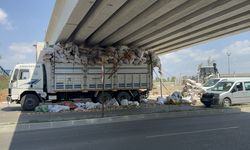 Adana'da odun yüklü kamyon köprü altında sıkıştı