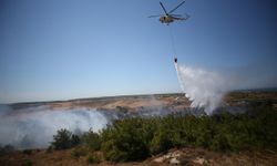 Bozcaada'da tarım arazisinde çıkan yangın ormana sıçradı