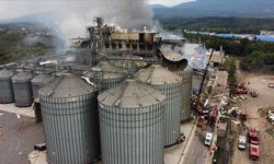 Sakarya'daki makarna fabrikasında meydana gelen patlamada 30 kişi yaralandı