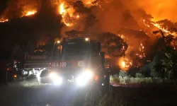 Muğla'da üç bölgede orman yangını: İki hanede 11 kişi tahliye edildi