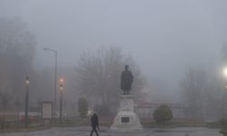 Edirne ve Tekirdağ'da sis etkili oldu