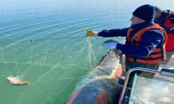Çorum'da kaçak avcıların bıraktığı ağ bulundu