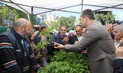 Trabzon’da üreticilere fide desteği