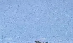 Adana'da yangın söndürme uçağı düştü