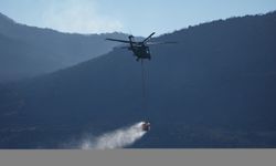 İzmir'de orman yangınlarına havadan ve karadan müdahale sürüyor