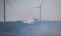 Çanakkale'de çıkan orman yangınına müdahale ediliyor