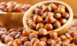 Türk fındığı BAE’de tanıtıldı