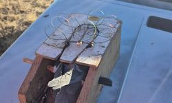 Kars'ta kaçak şahin avlayan 2 kişiye 661 bin 682 lira ceza uygulandı