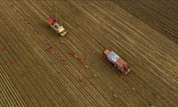 Tarım ÜFE Aralıkta yüzde 36 arttı