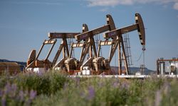Brent petrolün varili 71,49 dolardan işlem görüyor