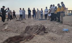 Suriye'de bir toplu mezar daha bulundu