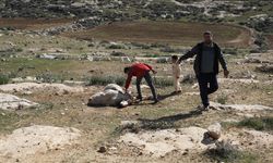 Yerleşimci İsrailliler Batı Şeria'da Filistinlilerin koyunlarını çaldı