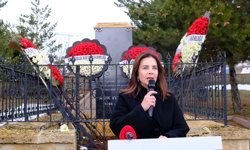 Sivas’ta Aşık Veysel'i anma programı düzenlendi