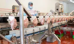 Marketlere ceza yağdı! Beyaz et fiyatlarına yakın markaj