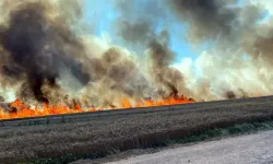 Tekirdağ'da 400 dekar buğday ekili alan yandı