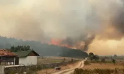 Ankara'da çıkan ot yangınına havadan ve karadan müdahale ediliyor