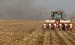 Tarımsal girdi fiyat endeksi mayısta yıllık yüzde 36,65, aylık yüzde 0,44 arttı