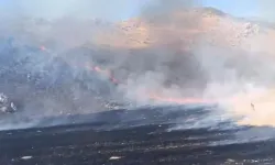 Ankara'da bir günde 140 yangın çıktı