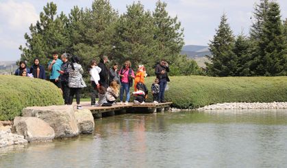 Kırşehir'deki Japon Bahçesi bayram tatilinde 14 bin kişiyi ağırladı