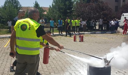 Bingöl'de 105 bin 895 kök Hint keneviri ve 13 bin 385 kök skunk ele geçirildi