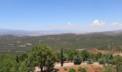 Kilis'te jandarma ekipleri orman yangınlarına karşı devriye görevi yapıyor