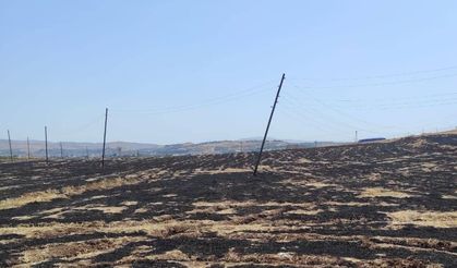 Siirt'te anız yakan kişiye 57 bin 990 lira ceza uygulandı