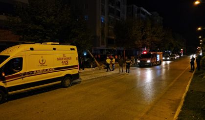 Çorum'da ağaca çarpan otomobildeki 1 kişi öldü, 1 kişi yaralandı