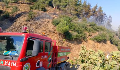 Hatay'da çıkan orman yangına müdahale ediliyor