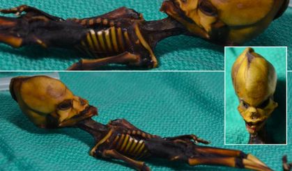 Atacama iskeleti: İnsan mı, uzaylı mı?