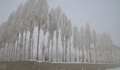 Muş ve Hakkari'de 5 yerleşim yerine ulaşım sağlanamıyor