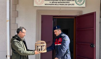 Afyonkarahisar'da keklik avlayan 3 kişiye para cezası uygulandı