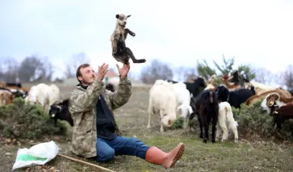 Hakkari'de "ilkbaharın müjdecisi" kuzu ve oğlaklar meralarla buluştu