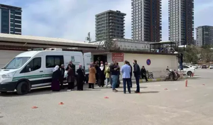 Sokak köpeği faciaya 'kovaladı'! Üniversiteli Sevda feci şekilde yaşamını yitirdi